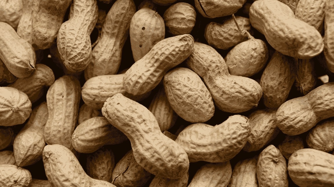 14 Peanuts Benefits That Make It More Than Just A Snack