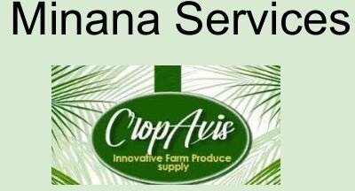 Minana Services