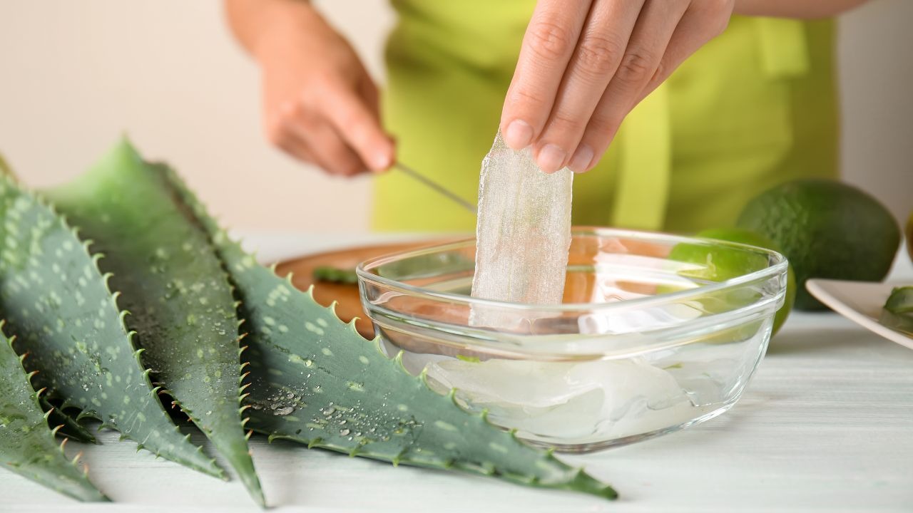 Benefits of aloe vera for acne
