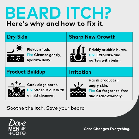 insert infographic