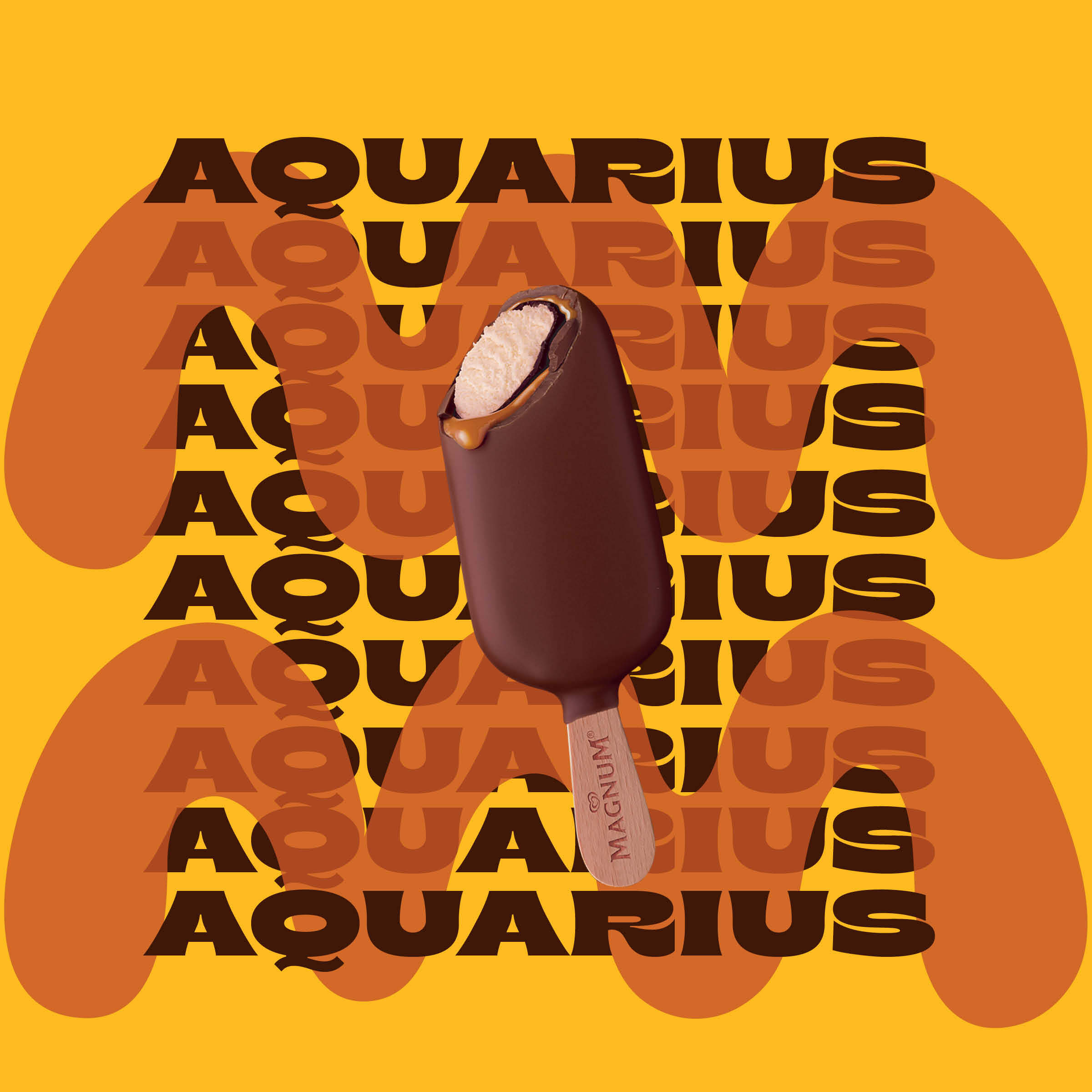 Magnum Mini Double Caramel bar is the ice cream flavor for Aquarius.