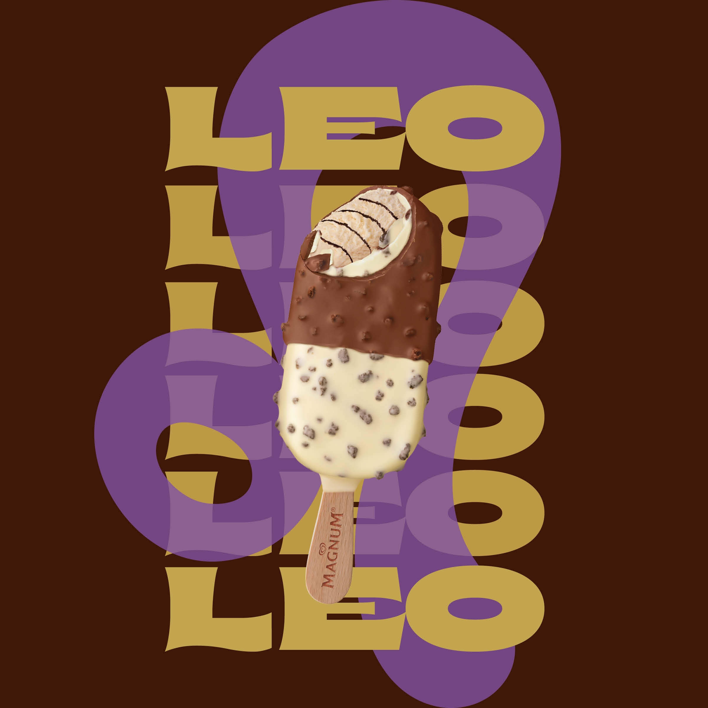 Magnum Cookie Duet is the ice cream flavor for Leo
