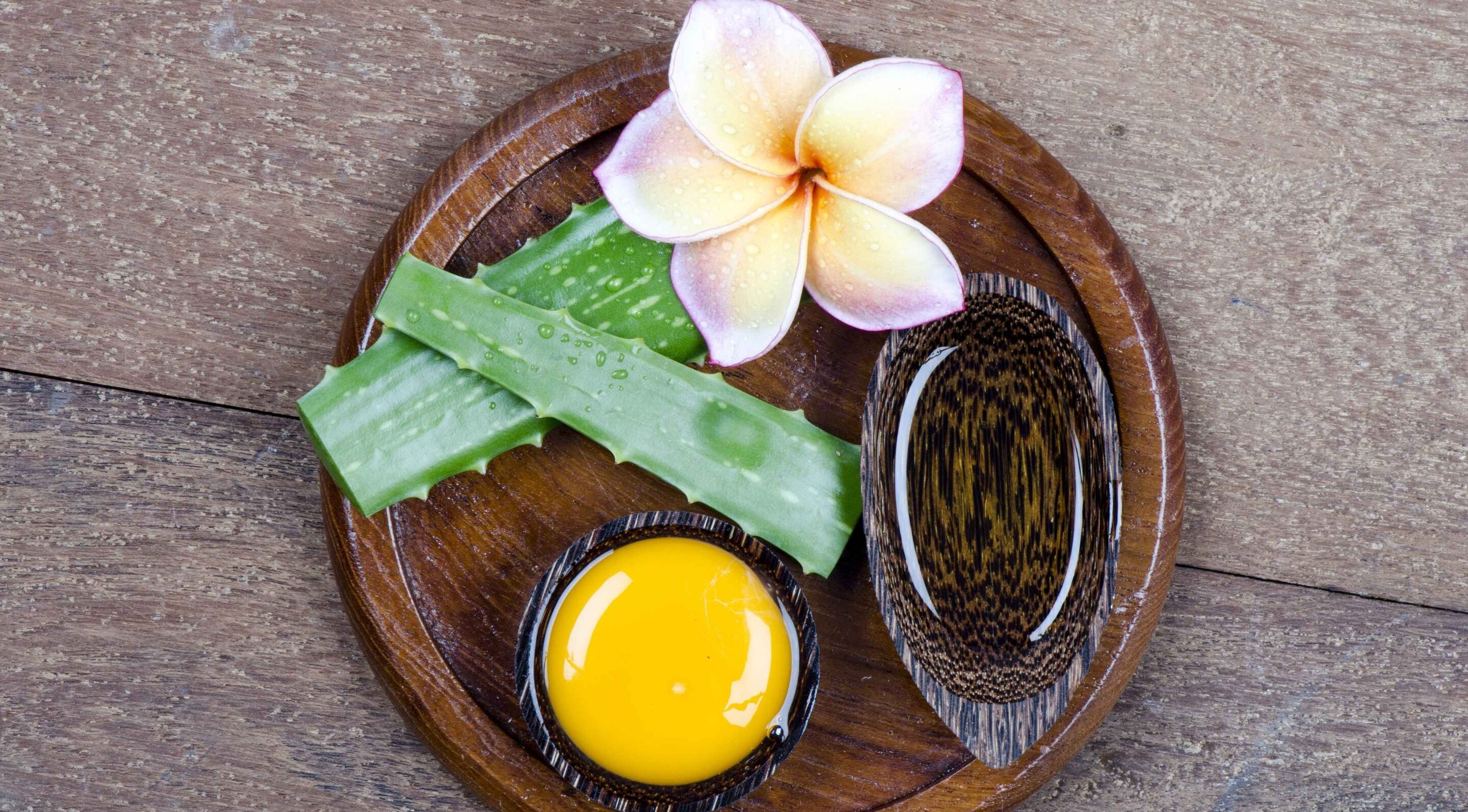 Egg + Aloe Vera Mask