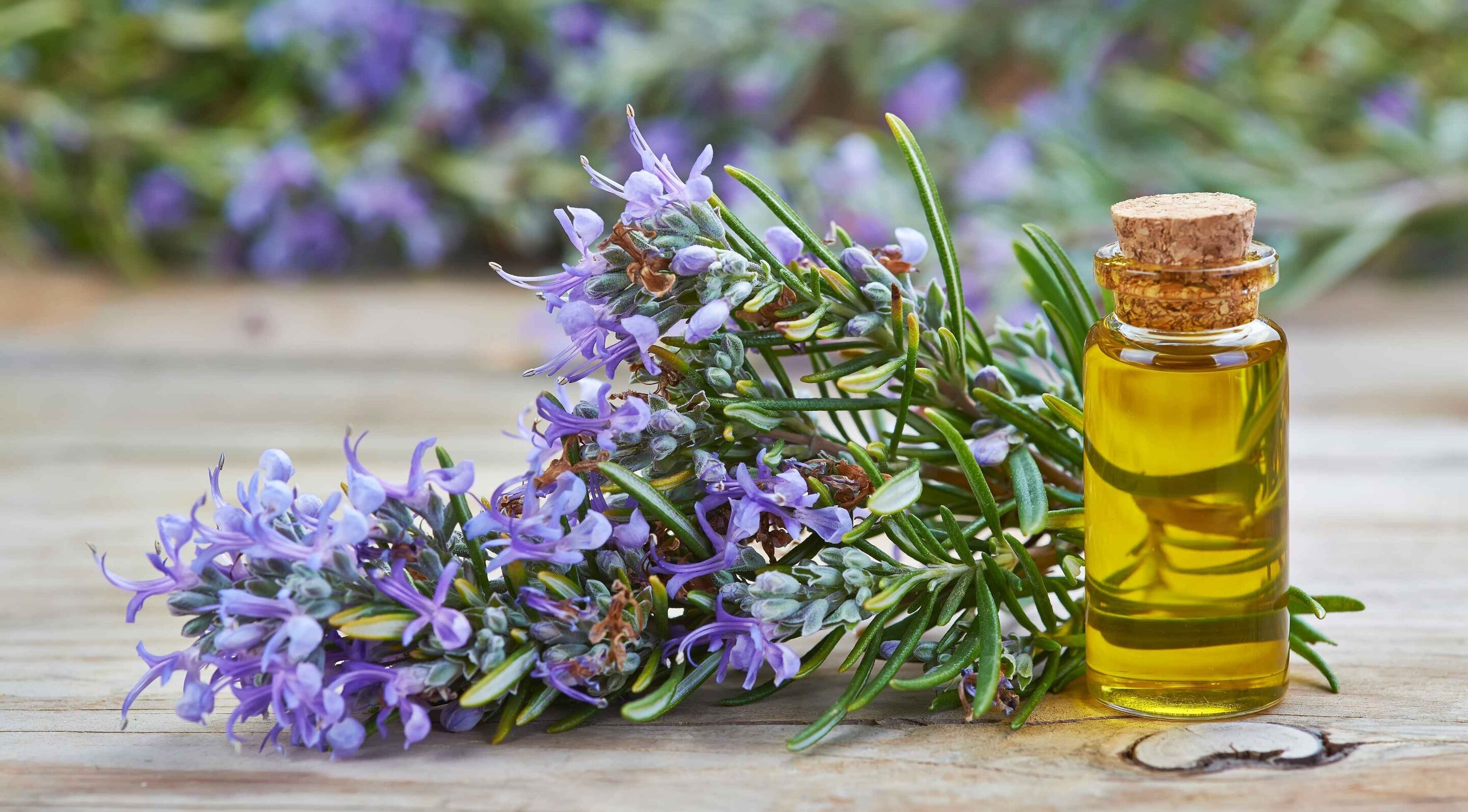 Rosemary Oil