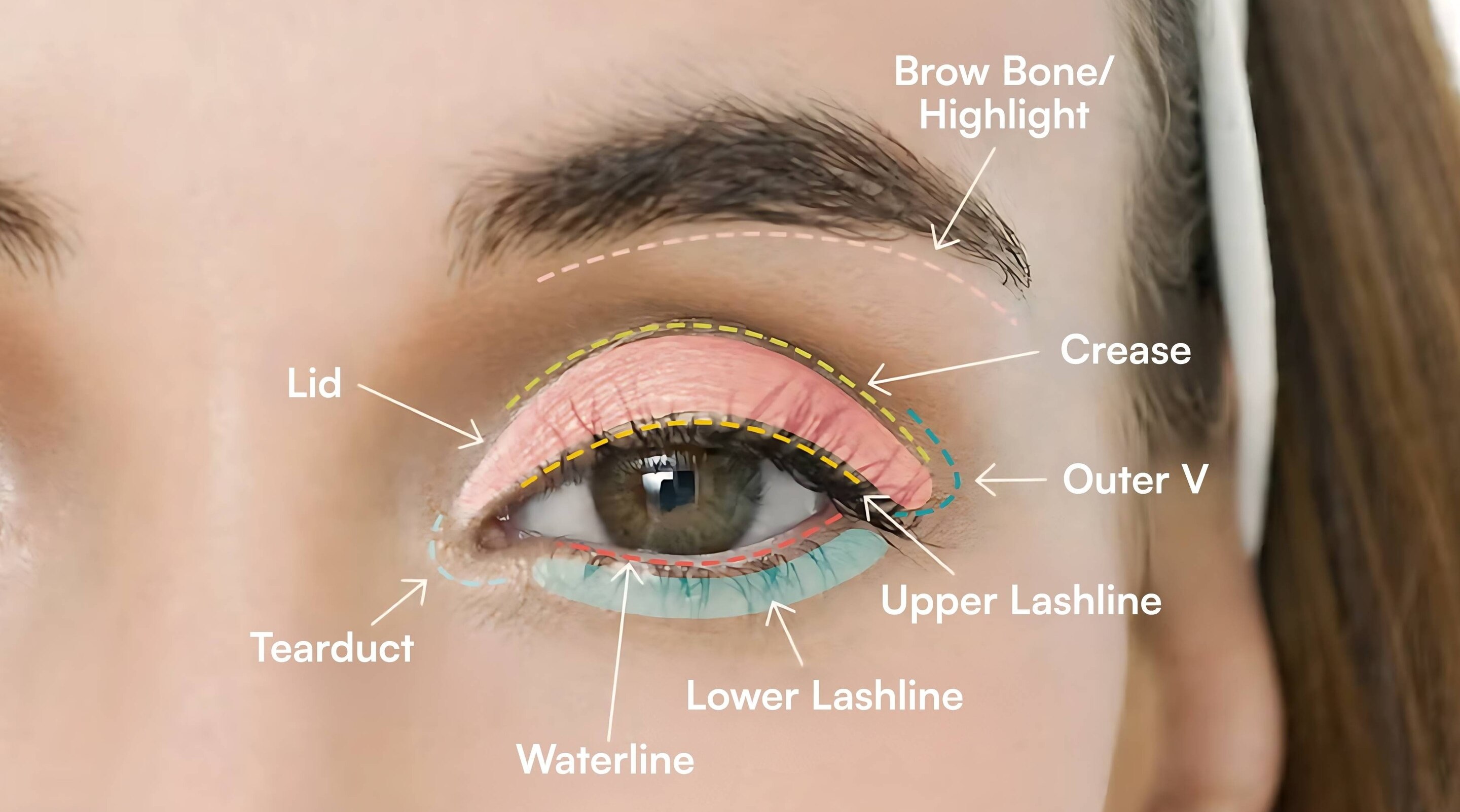 How to Apply Eyeshadow : Step-by-Step Tutorials for Every Eye Makeup Look