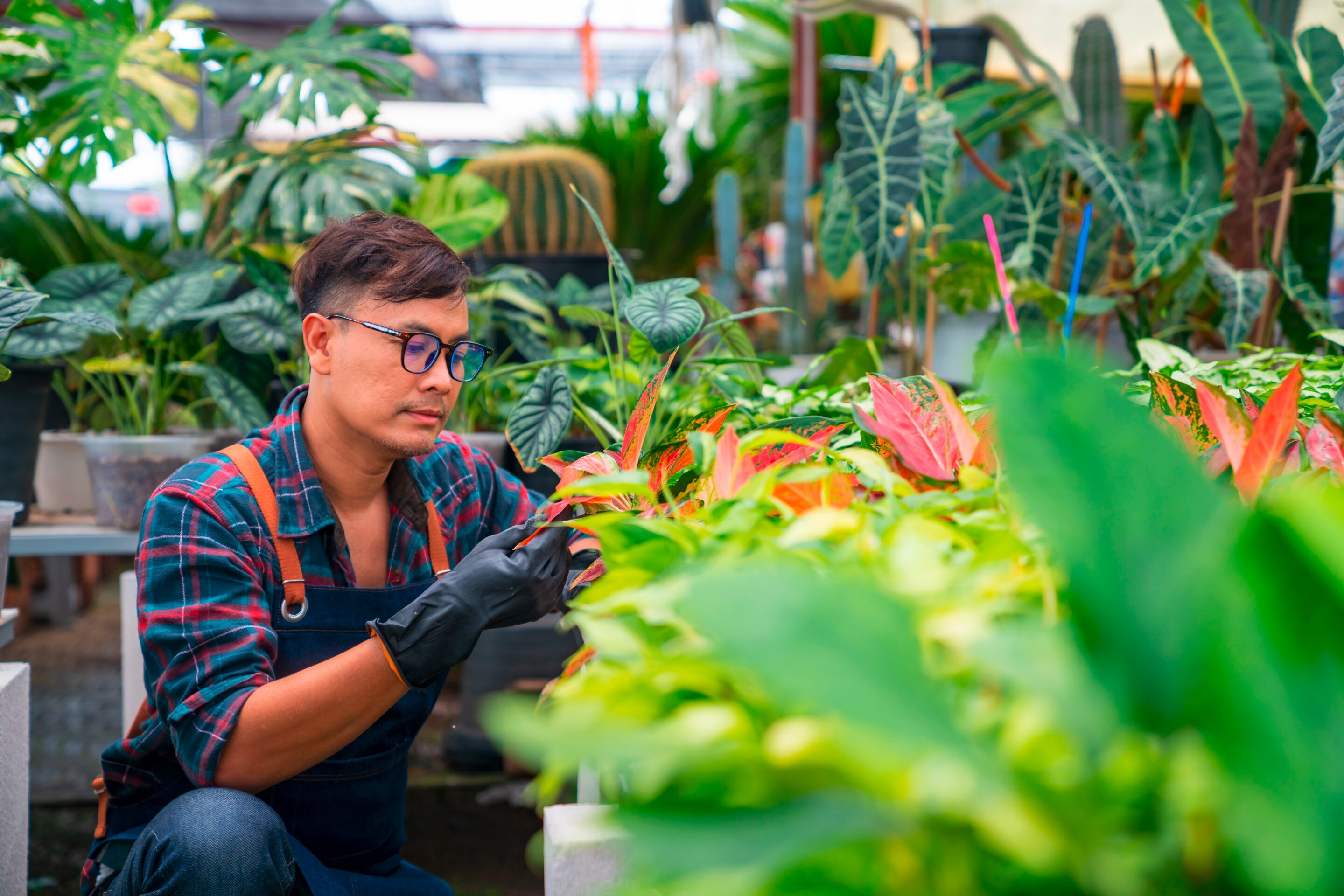 A man checks a leaf of a plant in his garden.