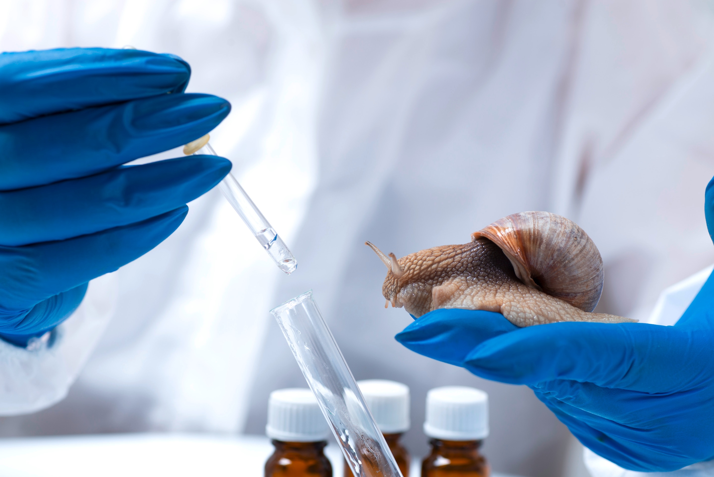 Scientist wearing gloves holding snail.