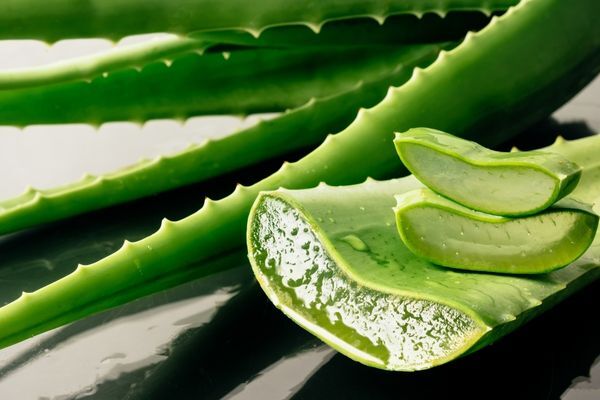 5 Ways In Which You Can Employ Aloe Vera Gel To Serve Your Hair