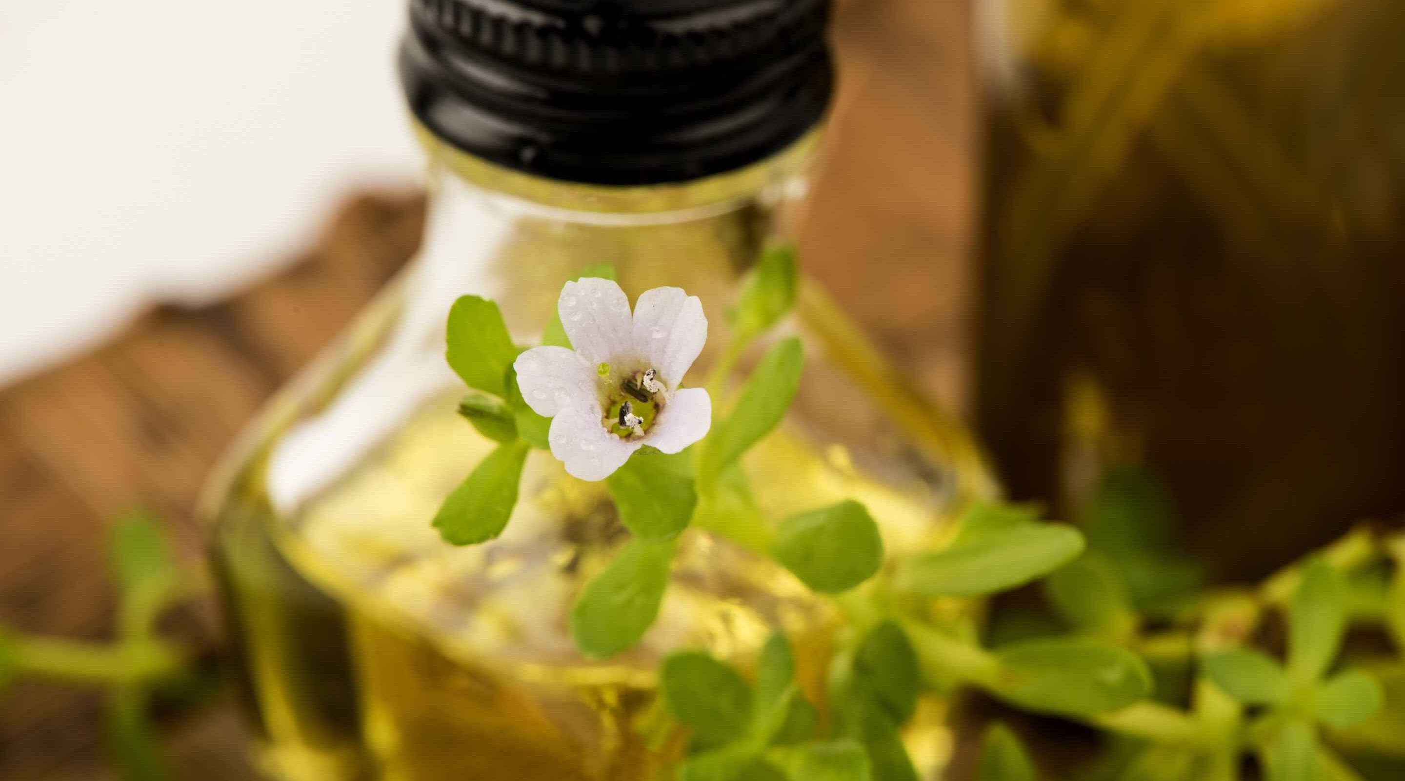 Brahmi Benefits For Hair: Everything You Need To Know: 7 To Try