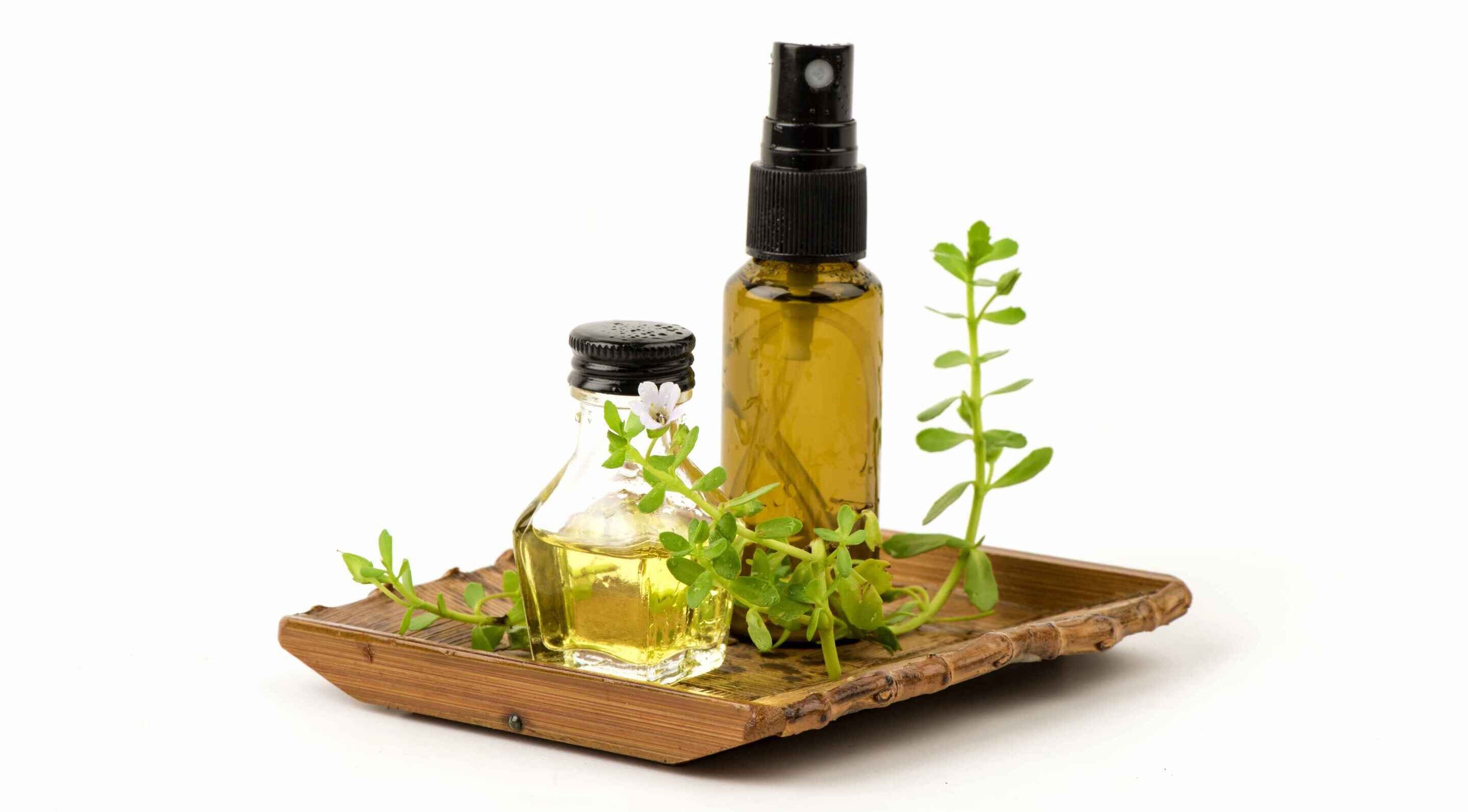 Brahmi Benefits for Hair: The Basics 
