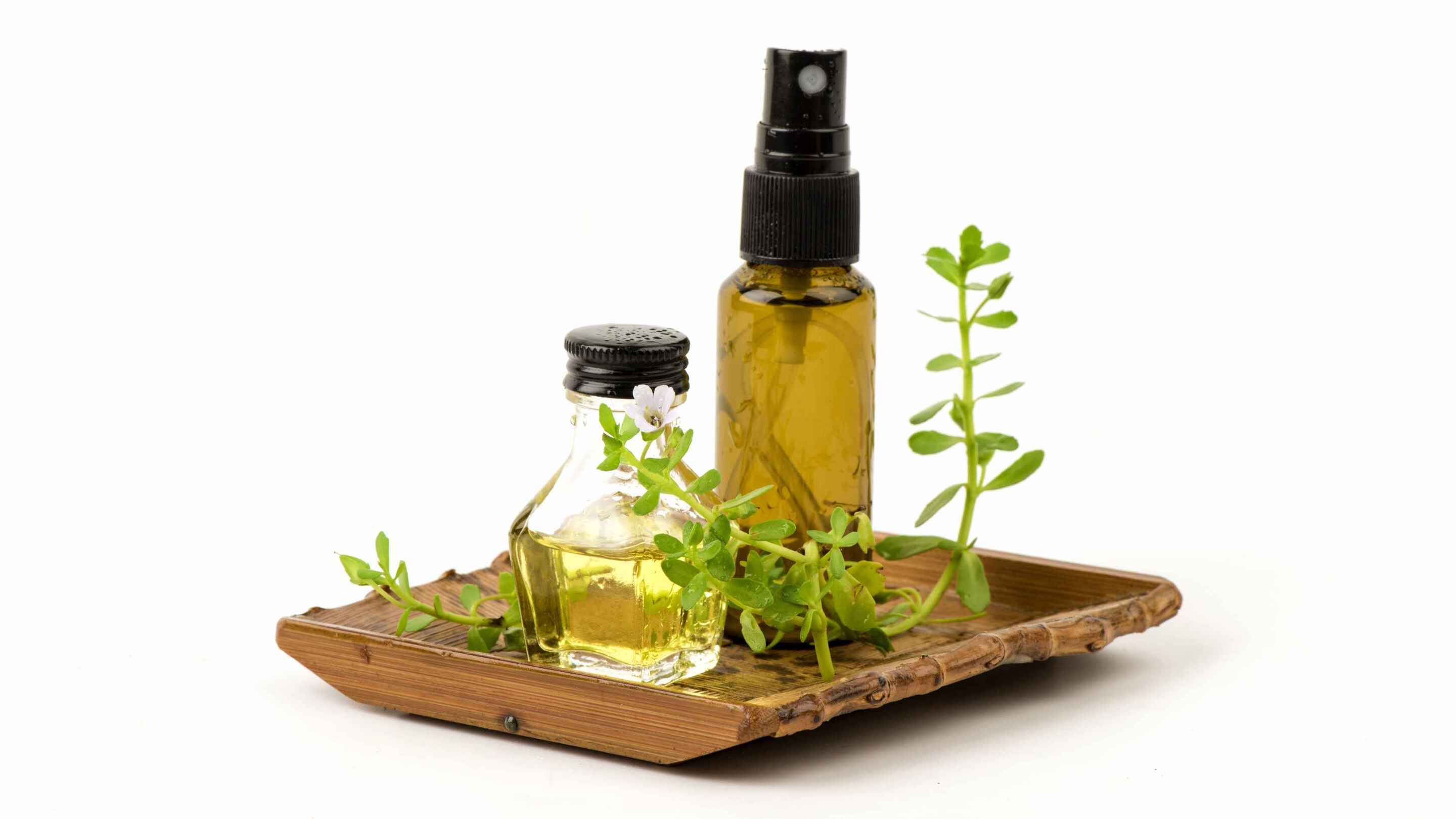 Brahmi Benefits for Hair: The Basics
