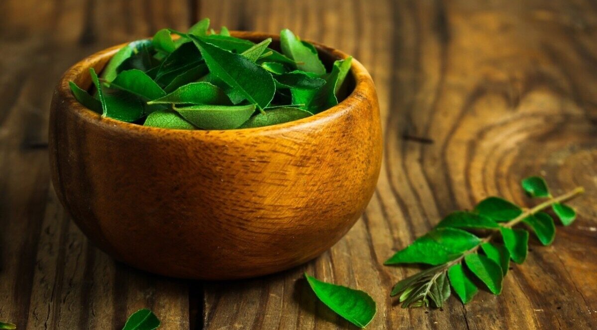 FAQ on benefits of neem leaves