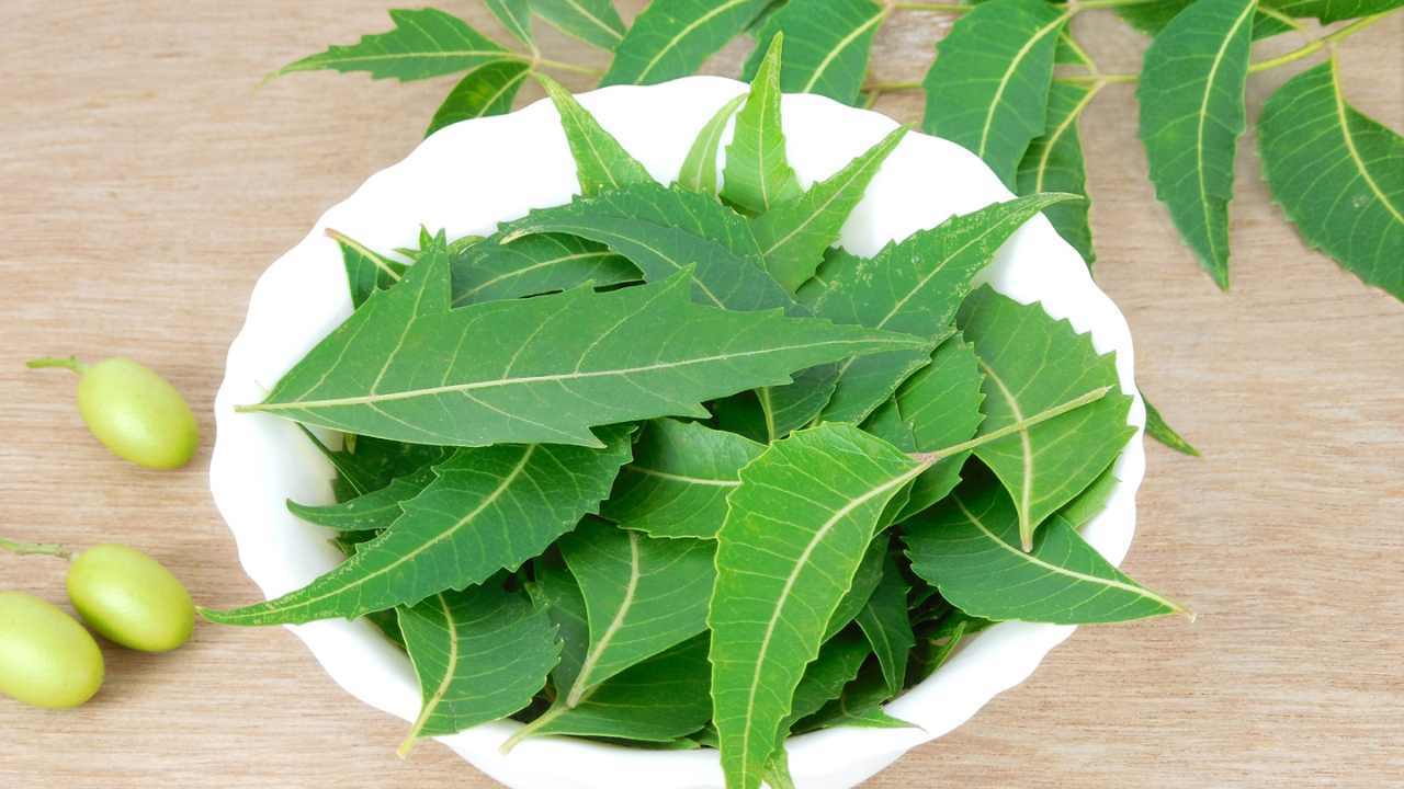For pimples and breakouts – Aloe Vera + Neem