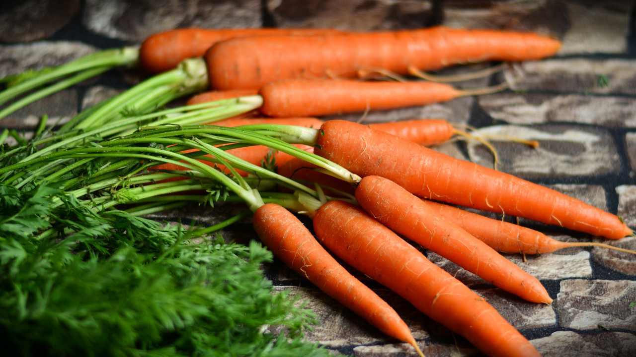 For younger-looking skin – Aloe Vera + Carrots