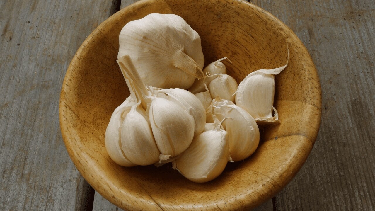 Garlic
