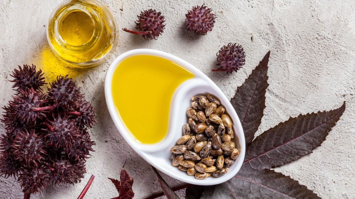 Incorporating Castor Oil into Your Hair Care Routine 