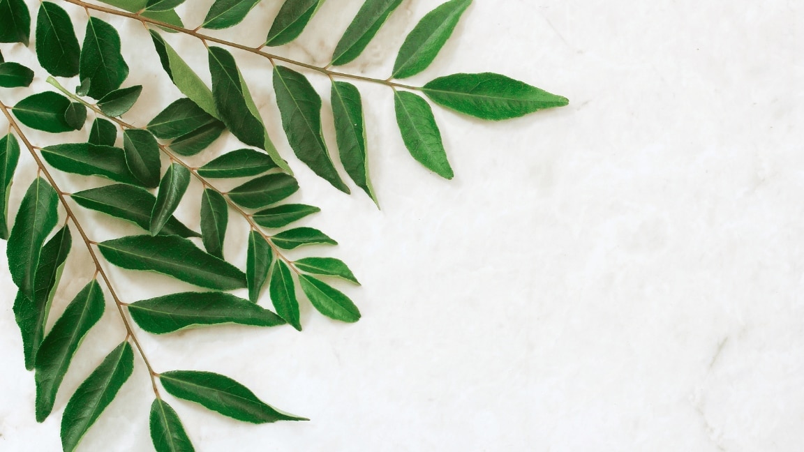 Curry Leaves For Hair Growth In 2025: Top 10 Benefits For Healthy Hair