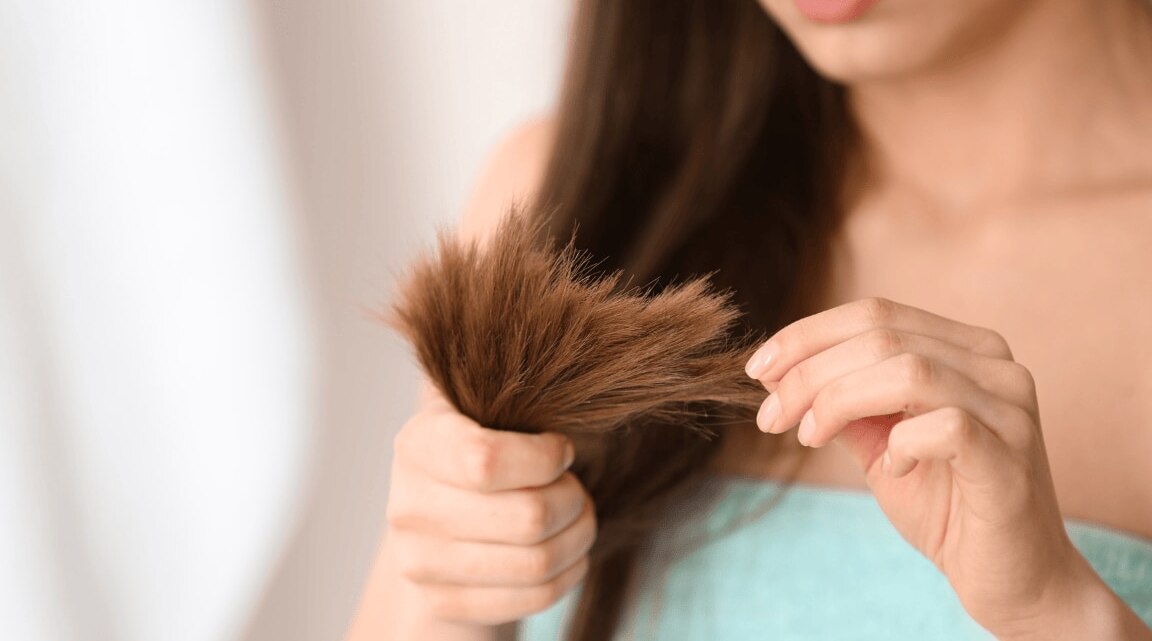 Which Oil Is Best For Split Ends Treatment: Step-By-Step Guide 