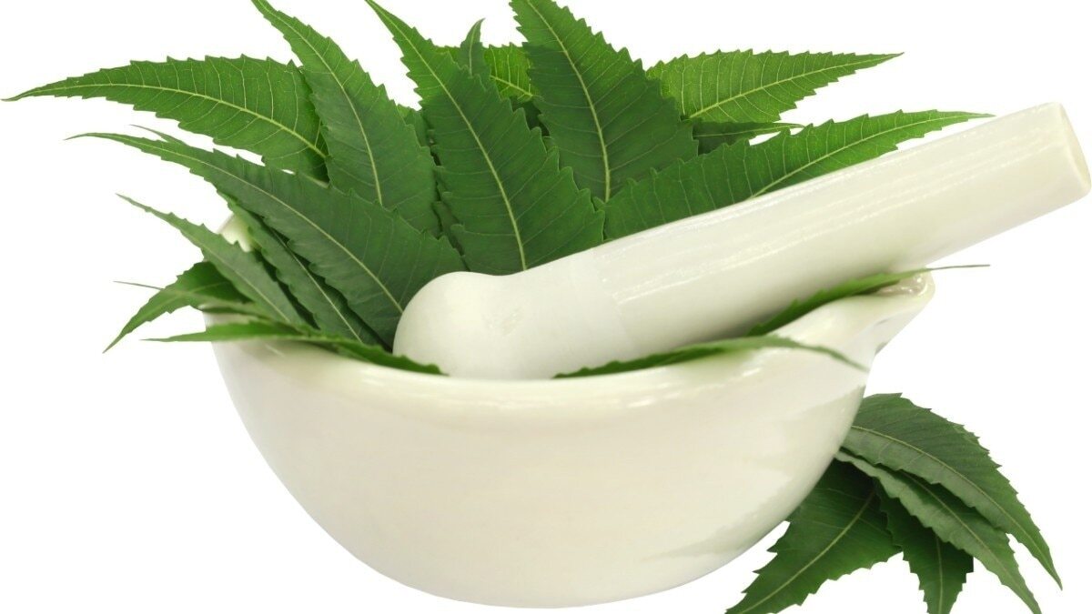 7. Neem Leaf Paste 