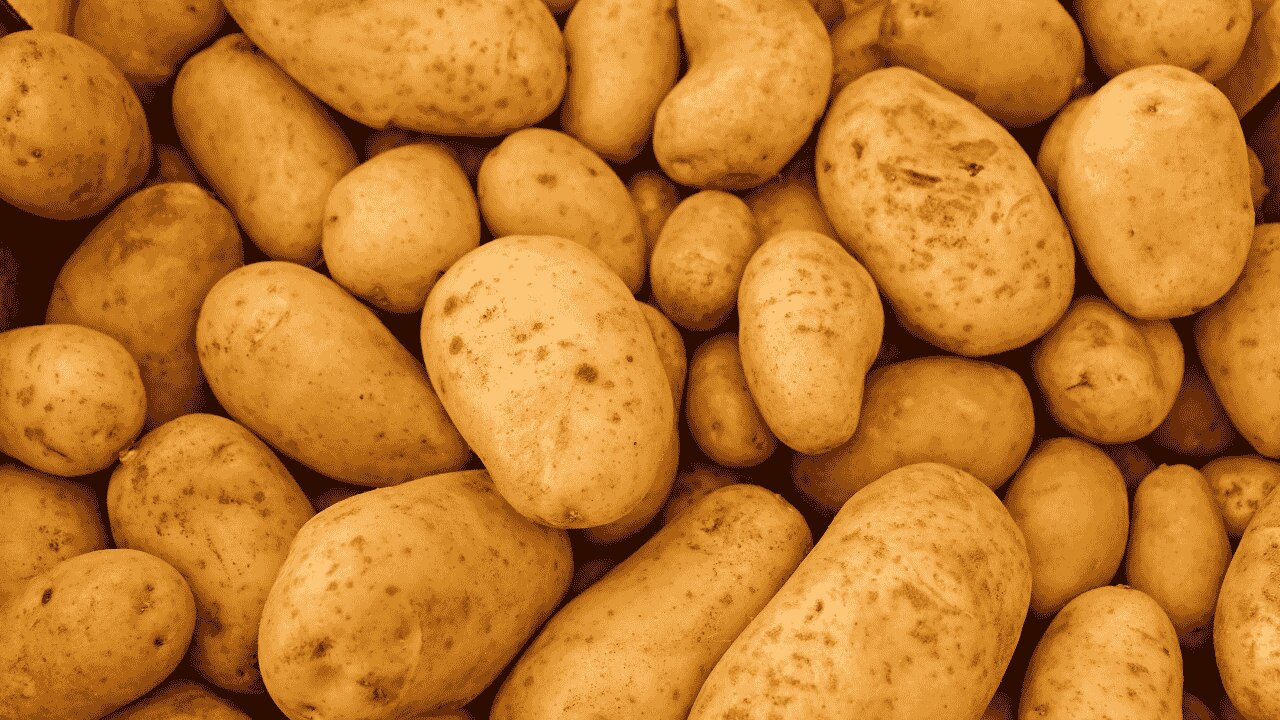 7. Potato