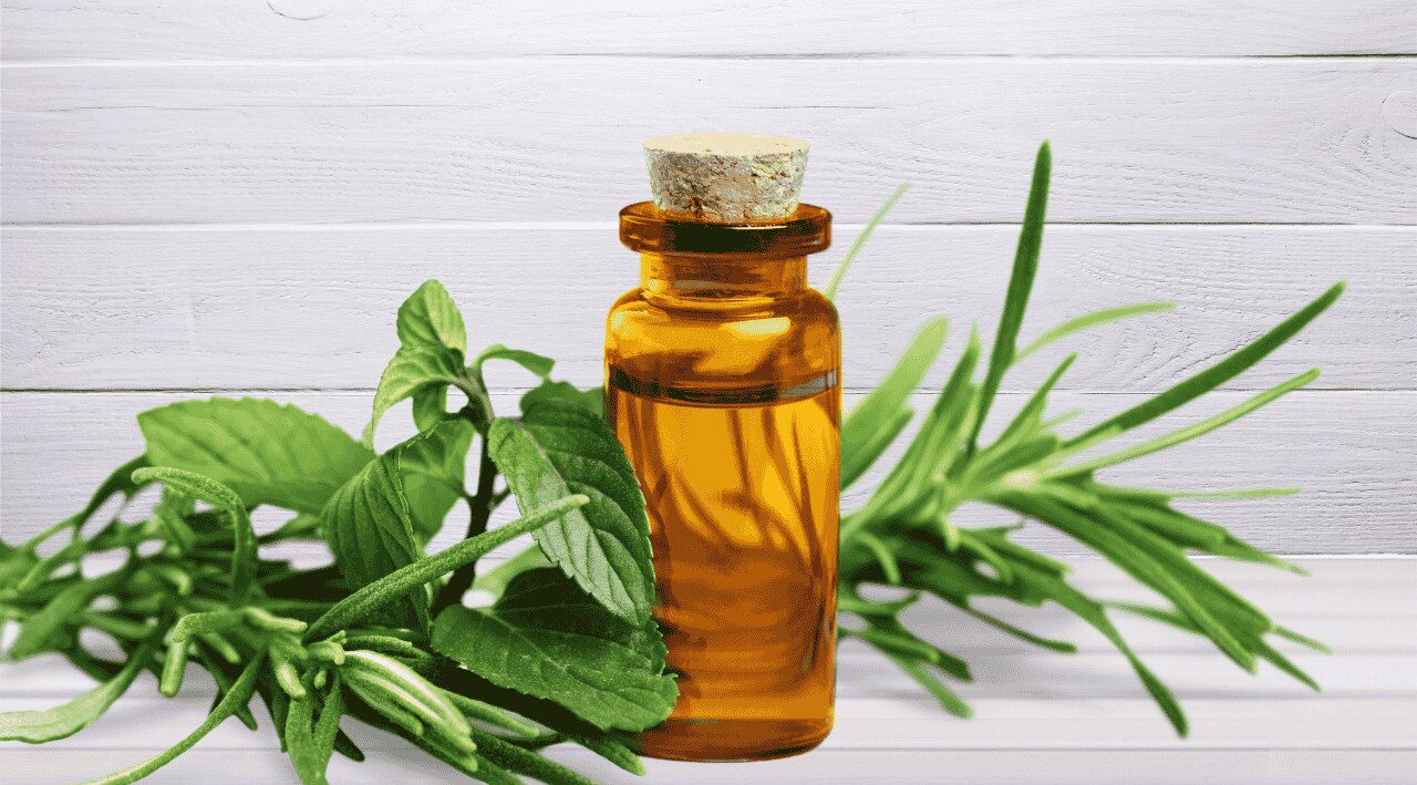 1. Tea tree oil