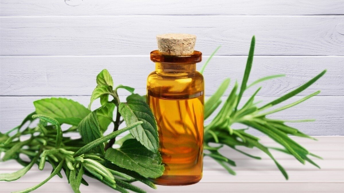3. Tea Tree Oil Treatment 