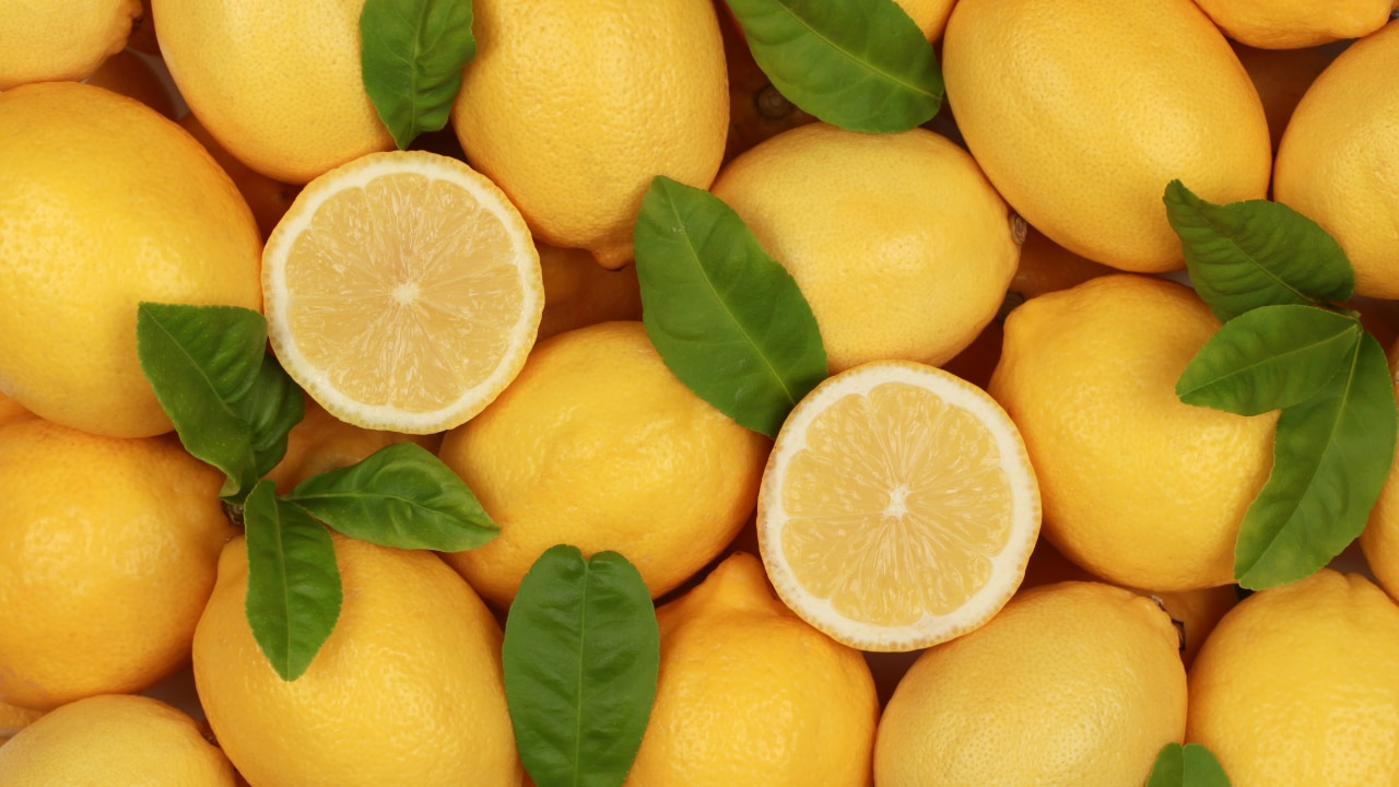 lemon