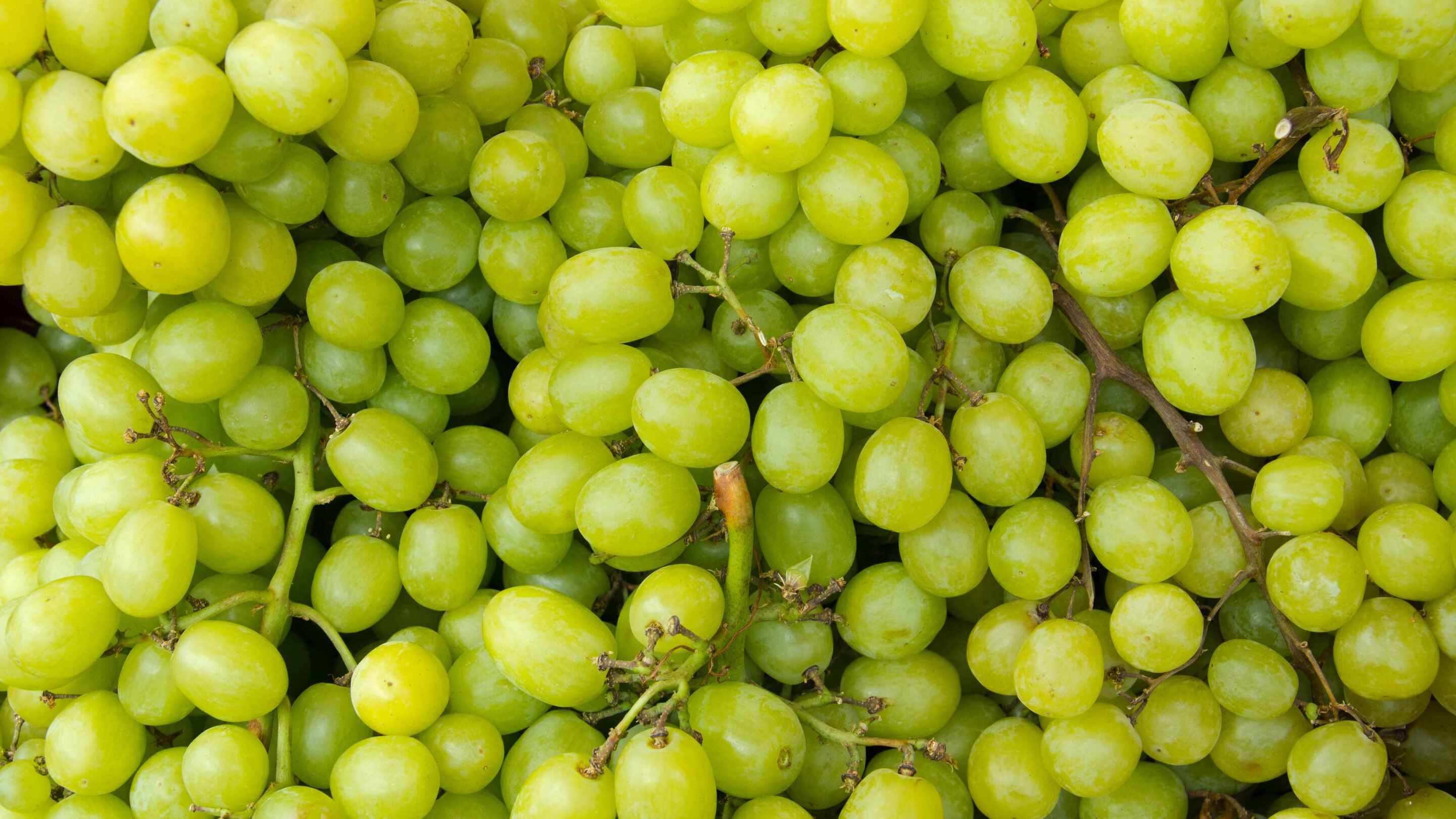 Grapes