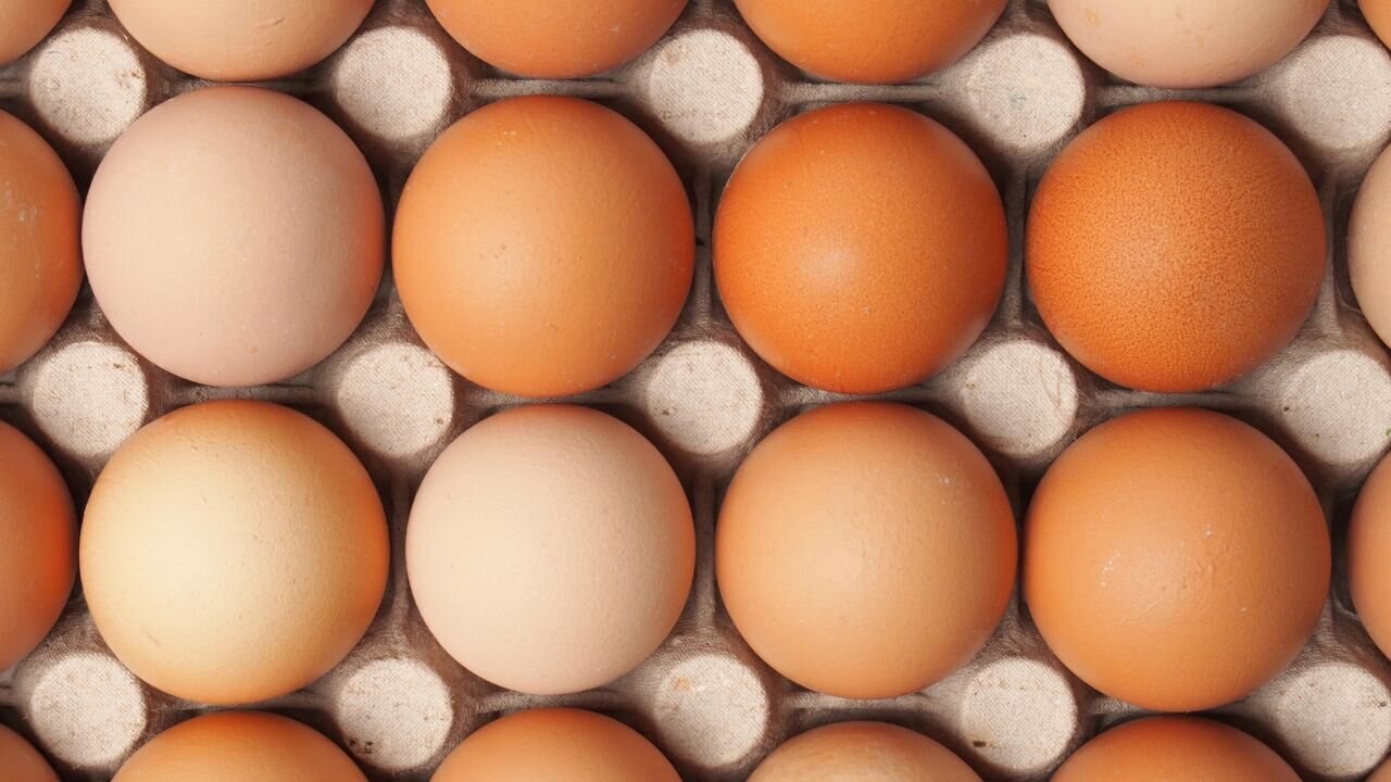 Egg nutritional benefits