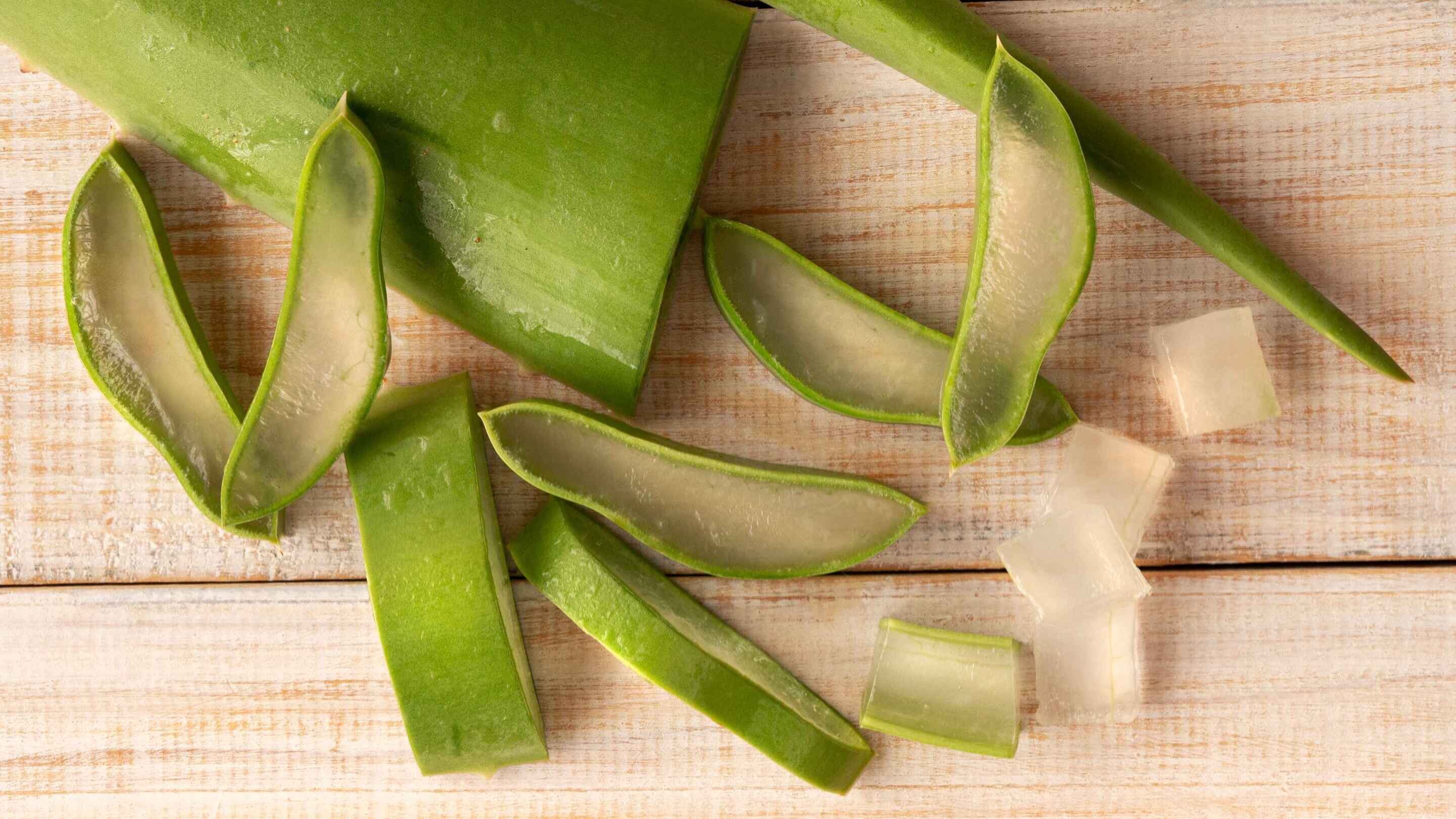5. Aloe Vera