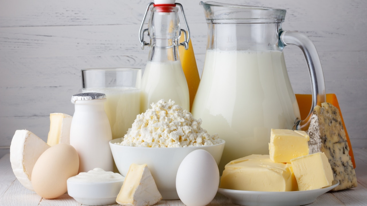 5 Meat and dairy products high in vitamin K