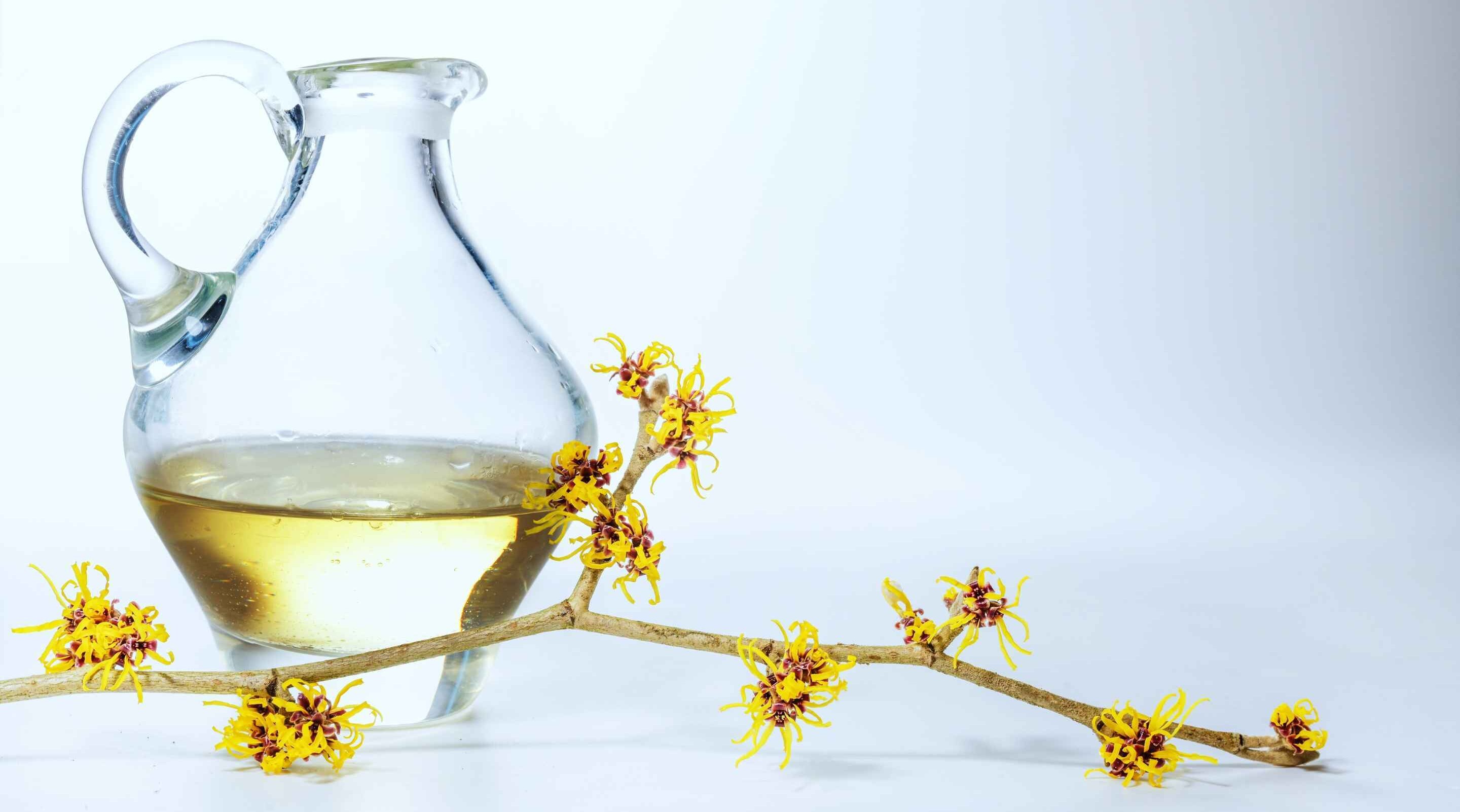 Benefits Of Witch Hazel For Skin: What Are They?