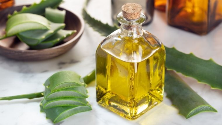 Aloe vera and castor oil for thin hair