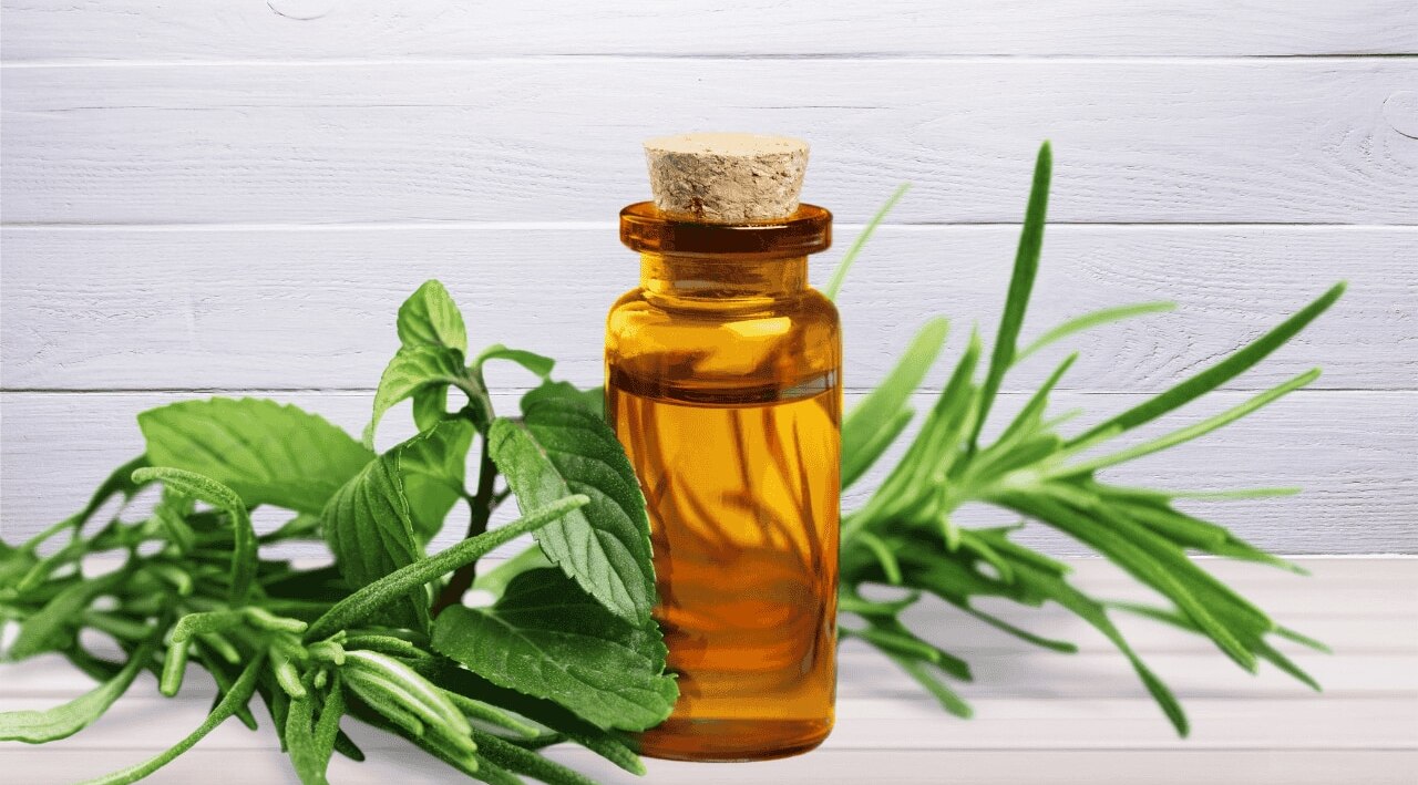 Tea Tree Oil