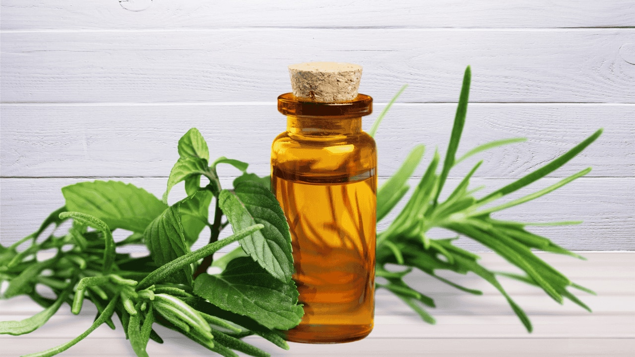 tea tree oil