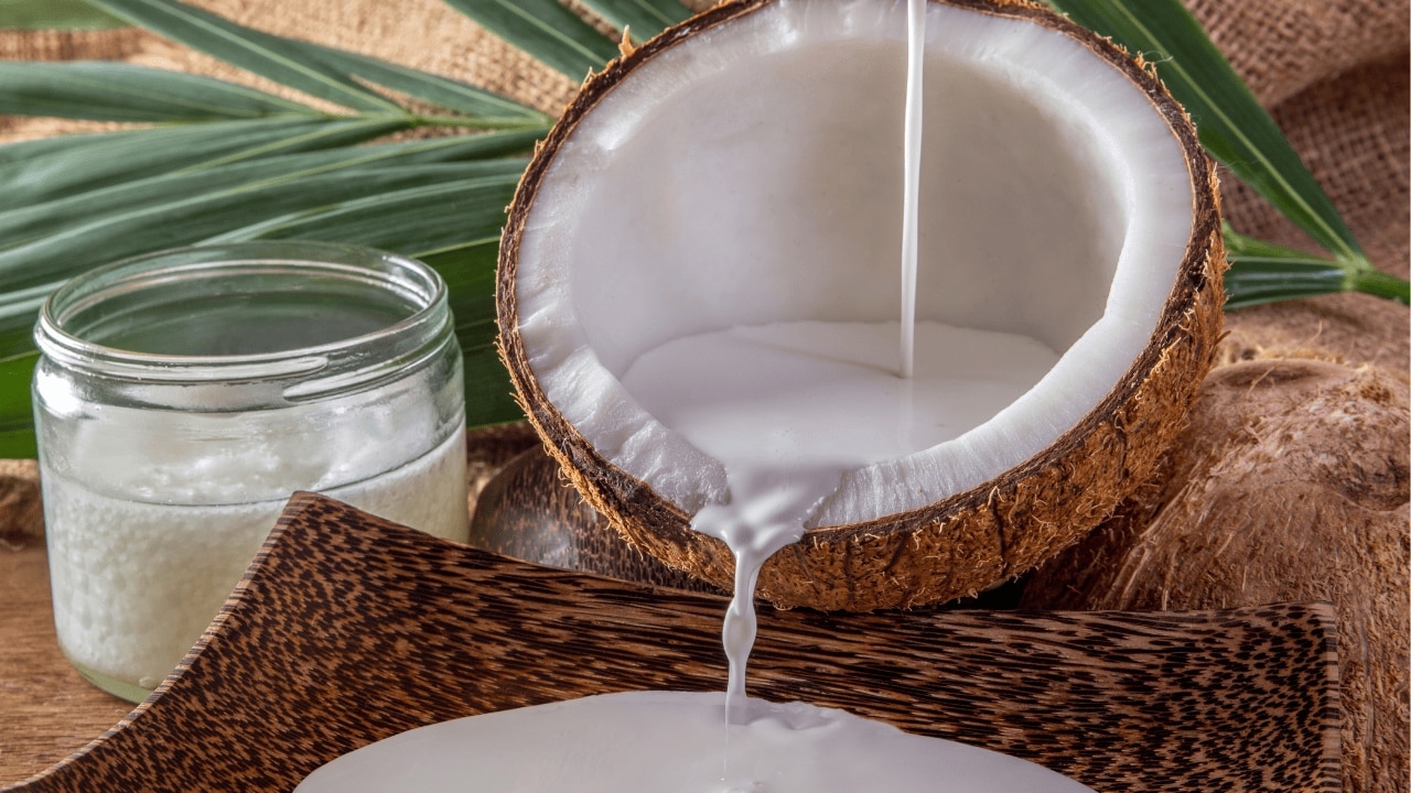 Aloe vera and coconut oil