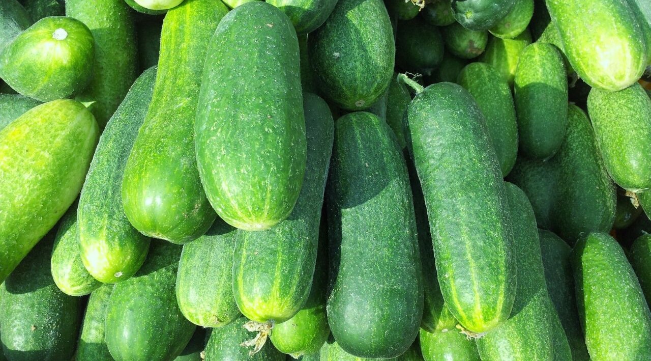 8. Mint and cucumber pack