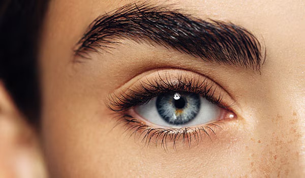 How To Make Diy Eyebrow Gel