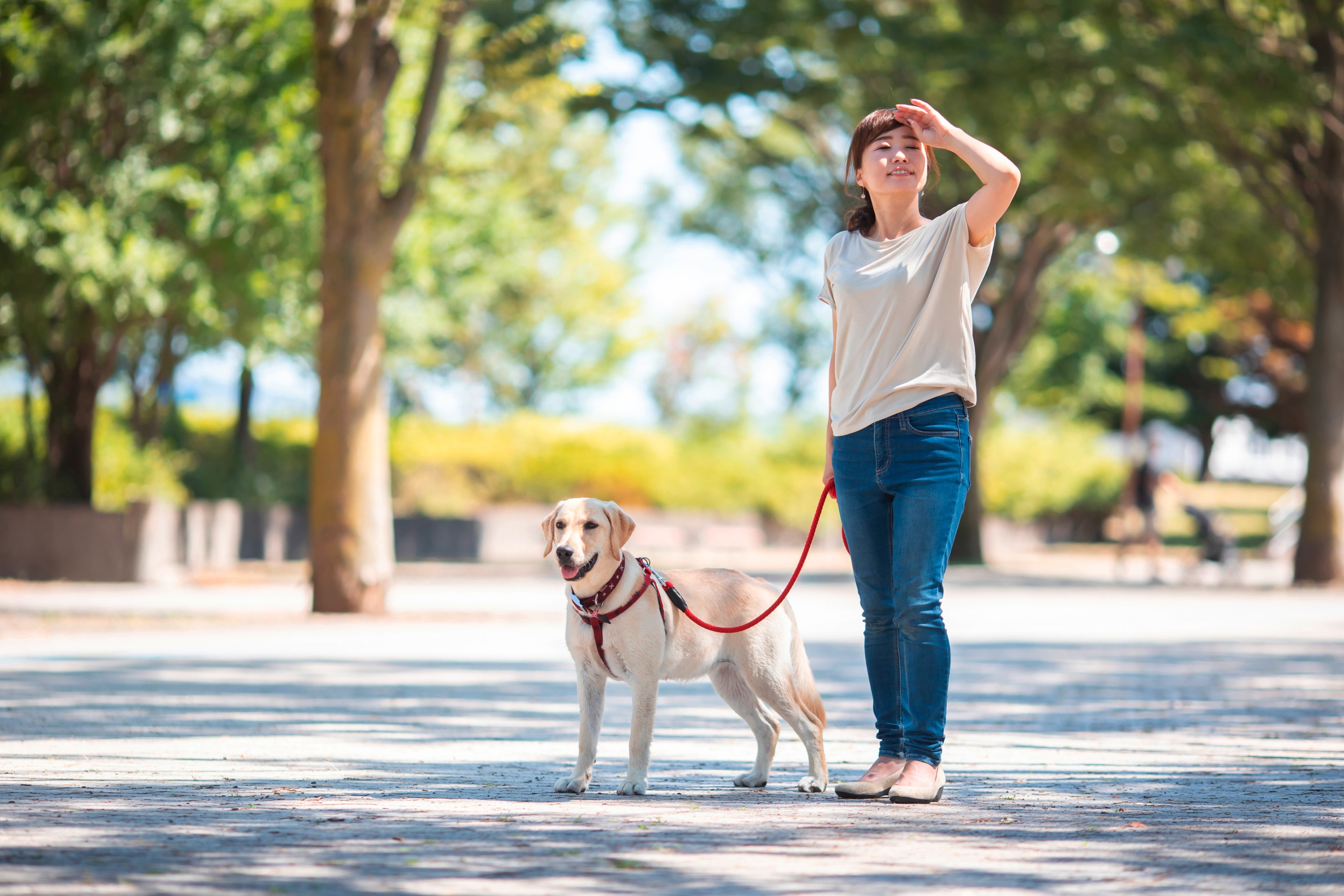 Woman walking her dog with a leash at the park.