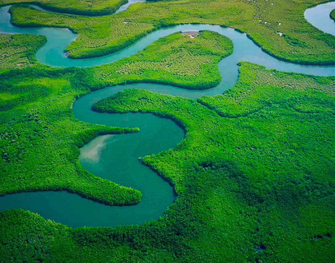 Wald und Fluss aus Vogelperspektive
