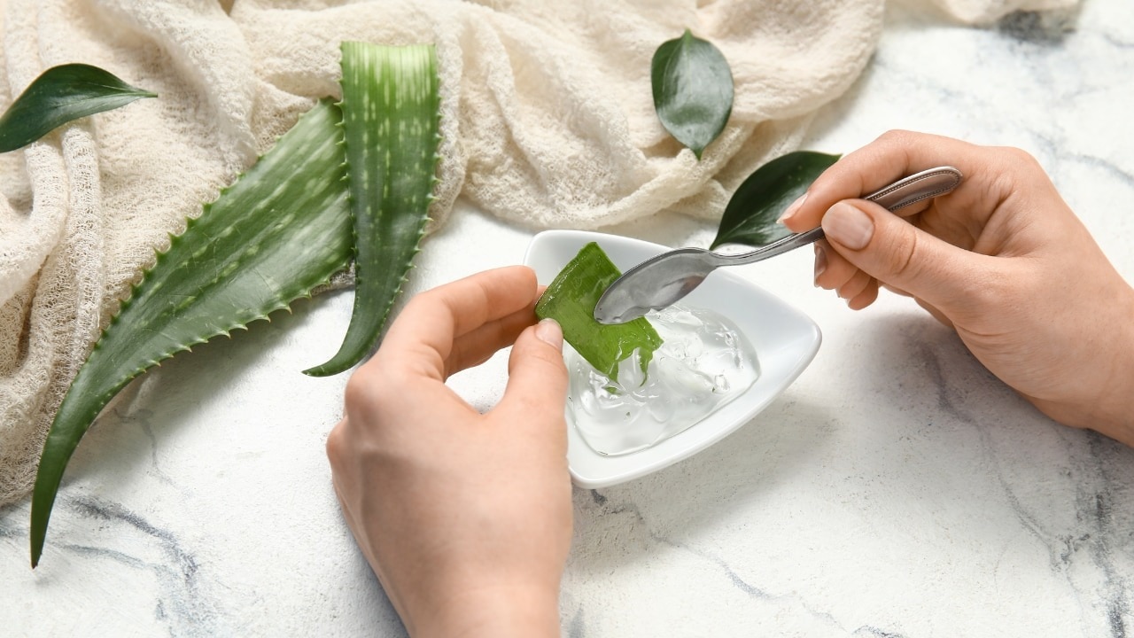 aloe-vera-img