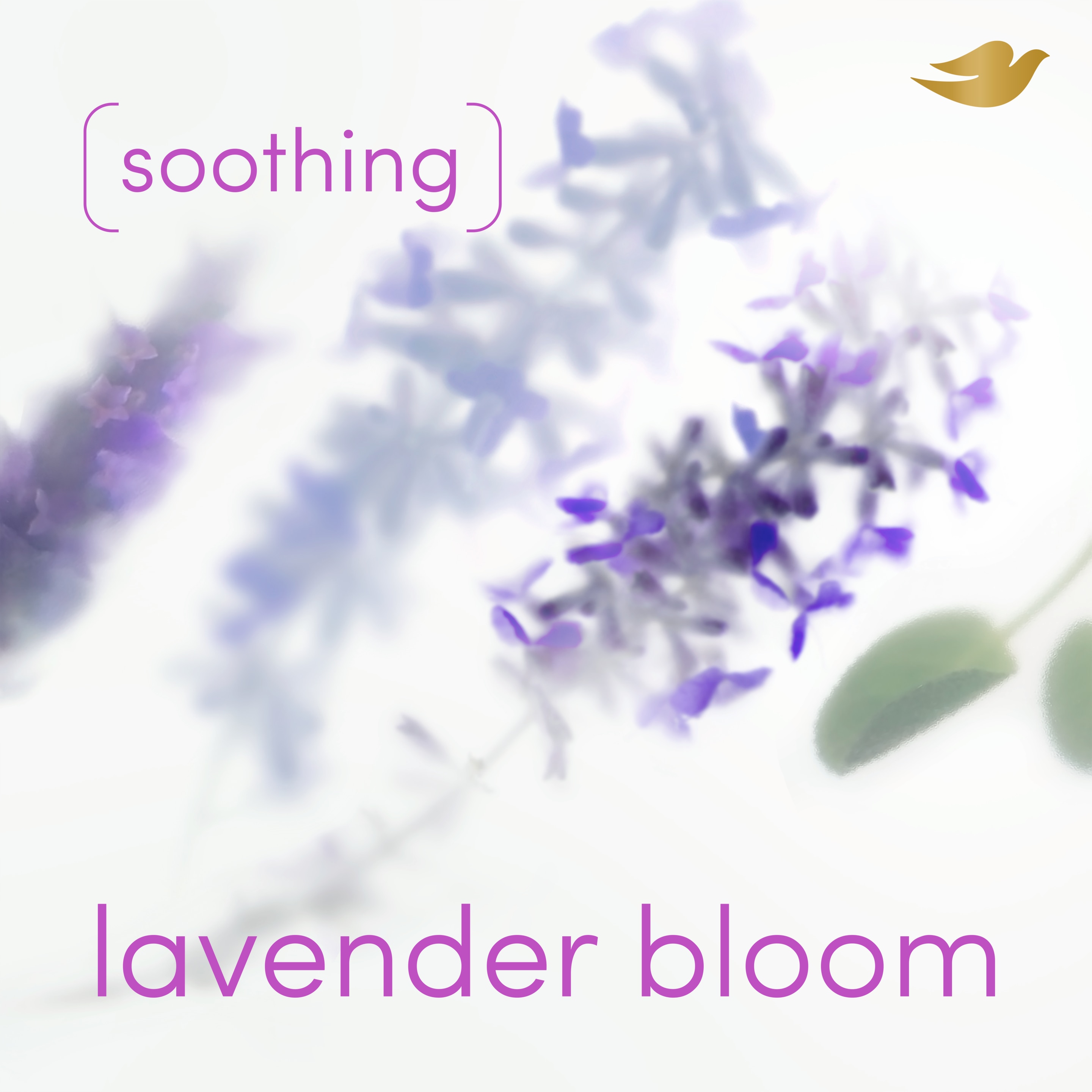 Lavender Bloom Alcohol-Free Whole Body Deodorant Spray