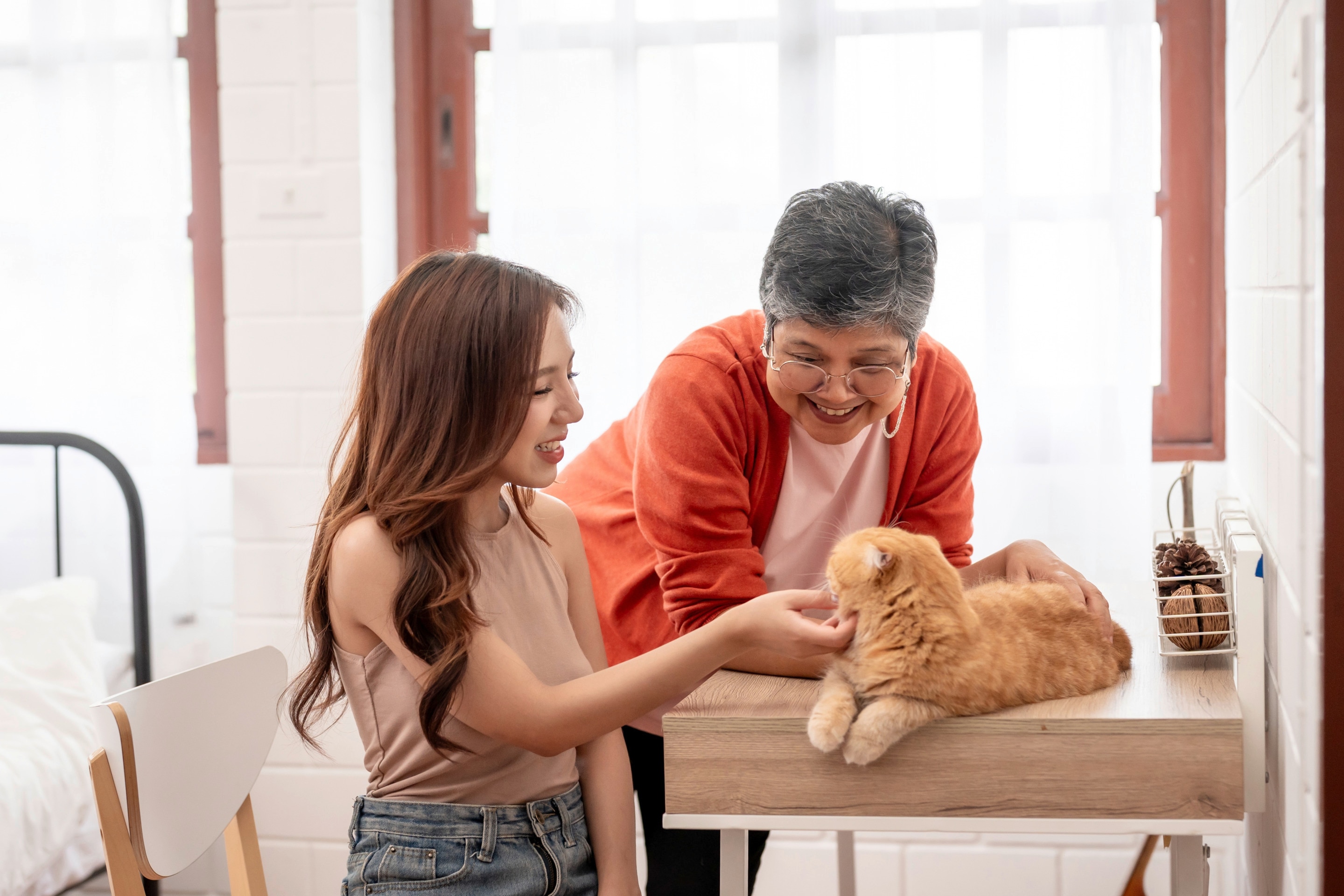 Two women of different ages playing with cat.