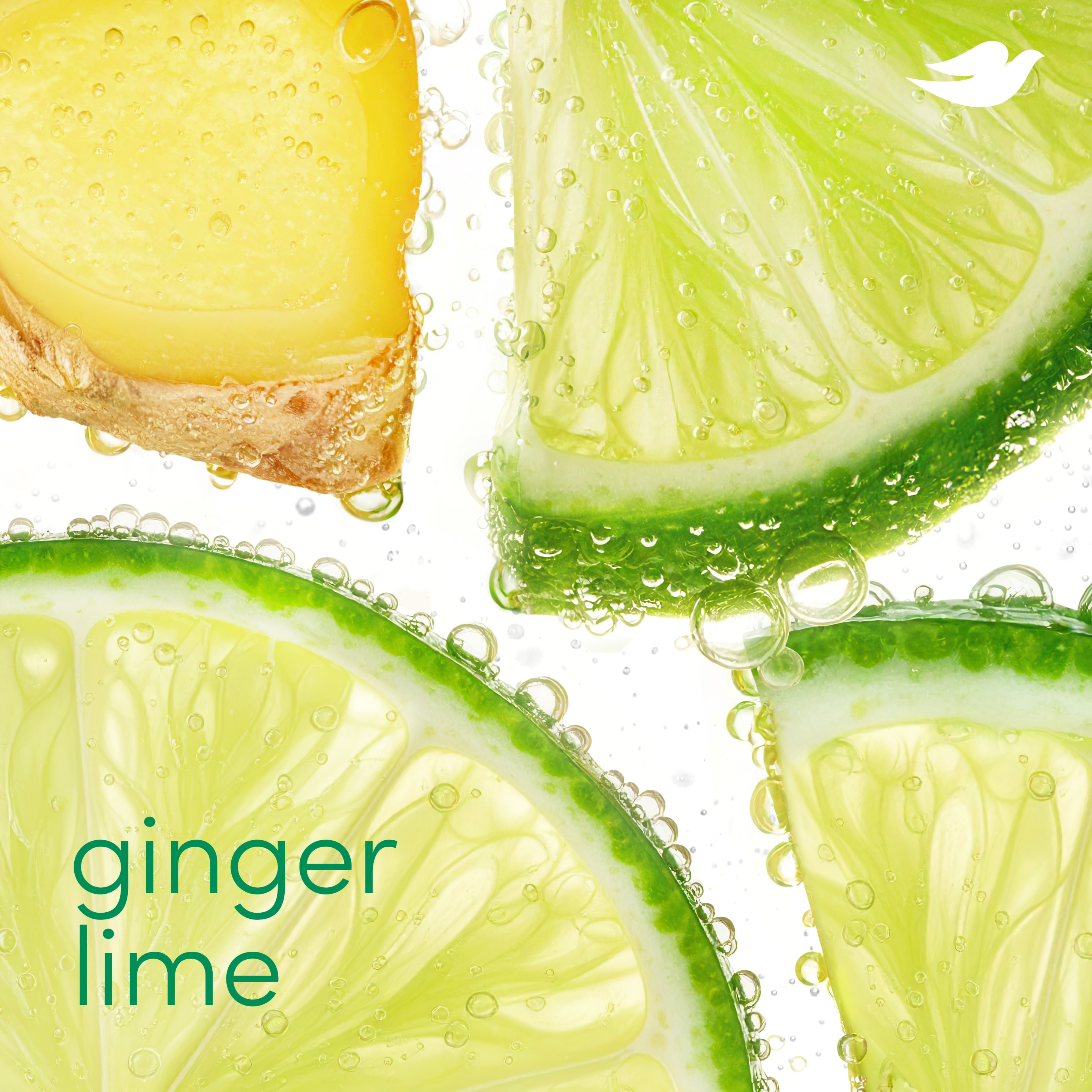 Aluminum Free Deodorant Stick Ginger Lime