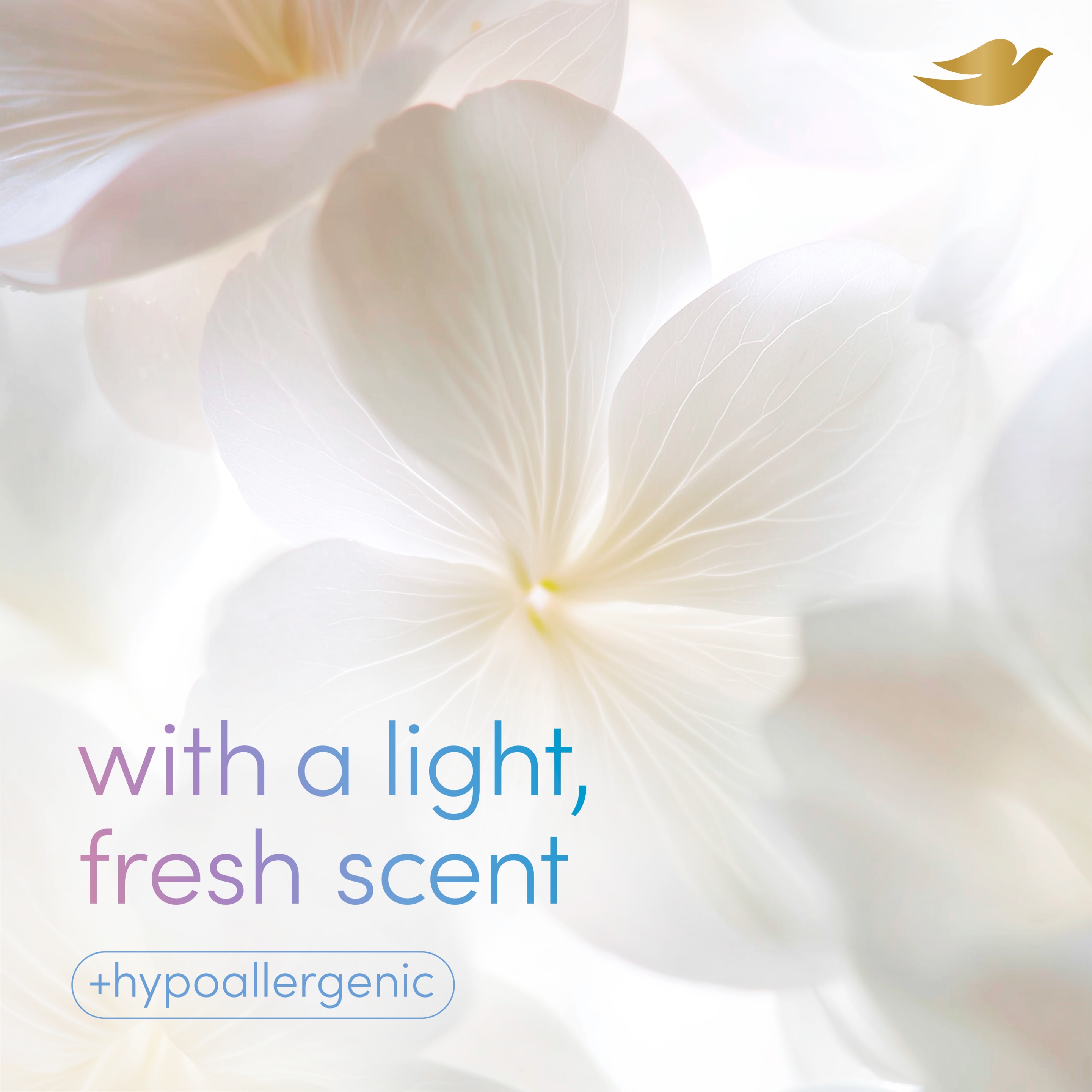 Clinical Soft Sensitive Antiperspirant Dry Spray