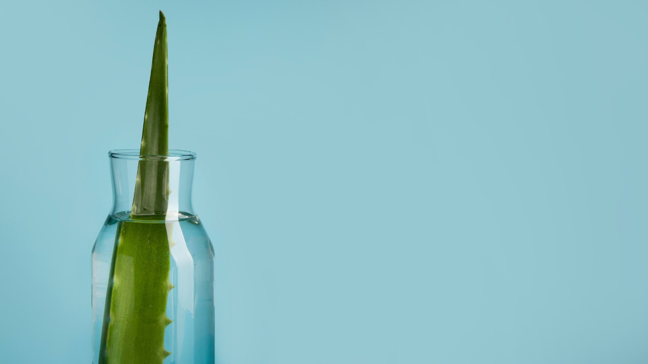Common Mistakes When Using Aloe Vera Gel on Hair image