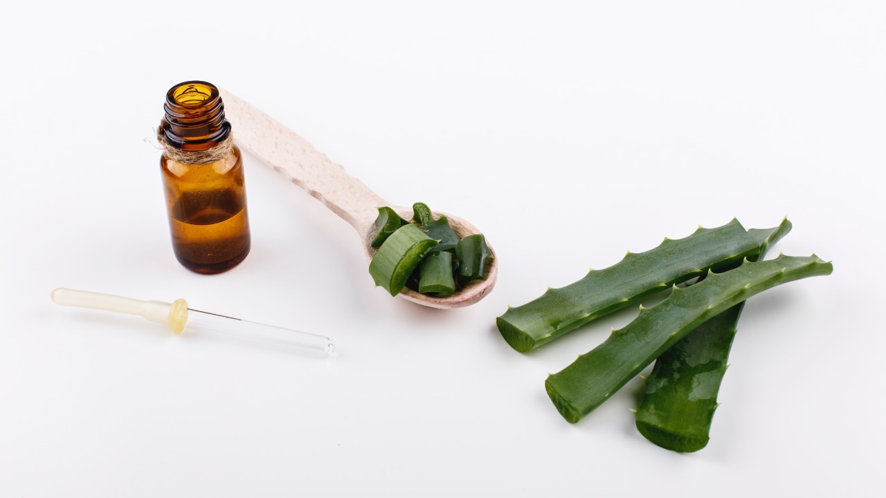 Aloe Vera Gel Uses for Hair – Creative Pairings image