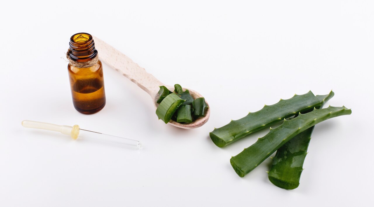 Aloe Vera Gel Uses for Hair – Creative Pairings image