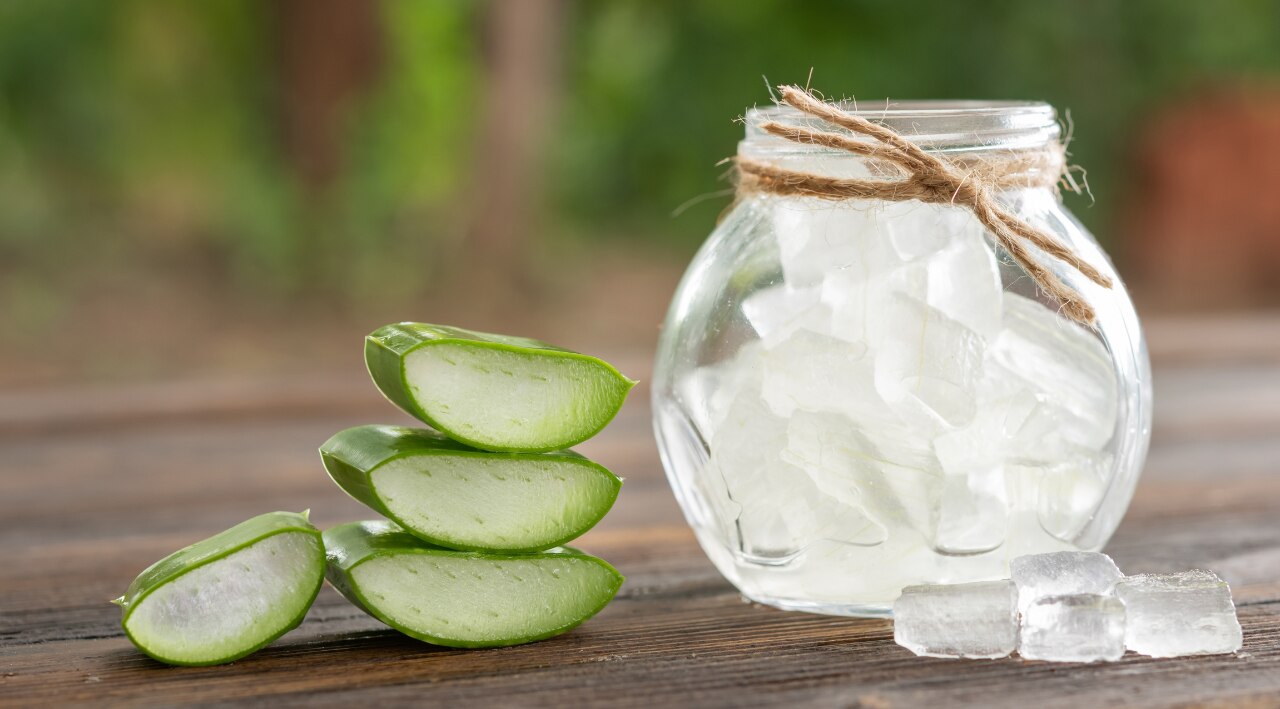 Why Aloe Vera Gel is a Haircare Favourite Image