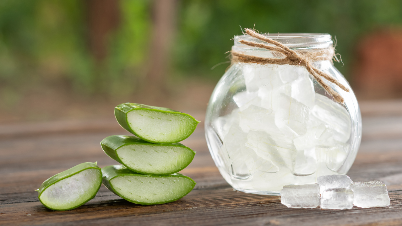 Why Aloe Vera Gel is a Haircare Favourite Image